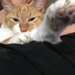 Meet your Posher, Liliana